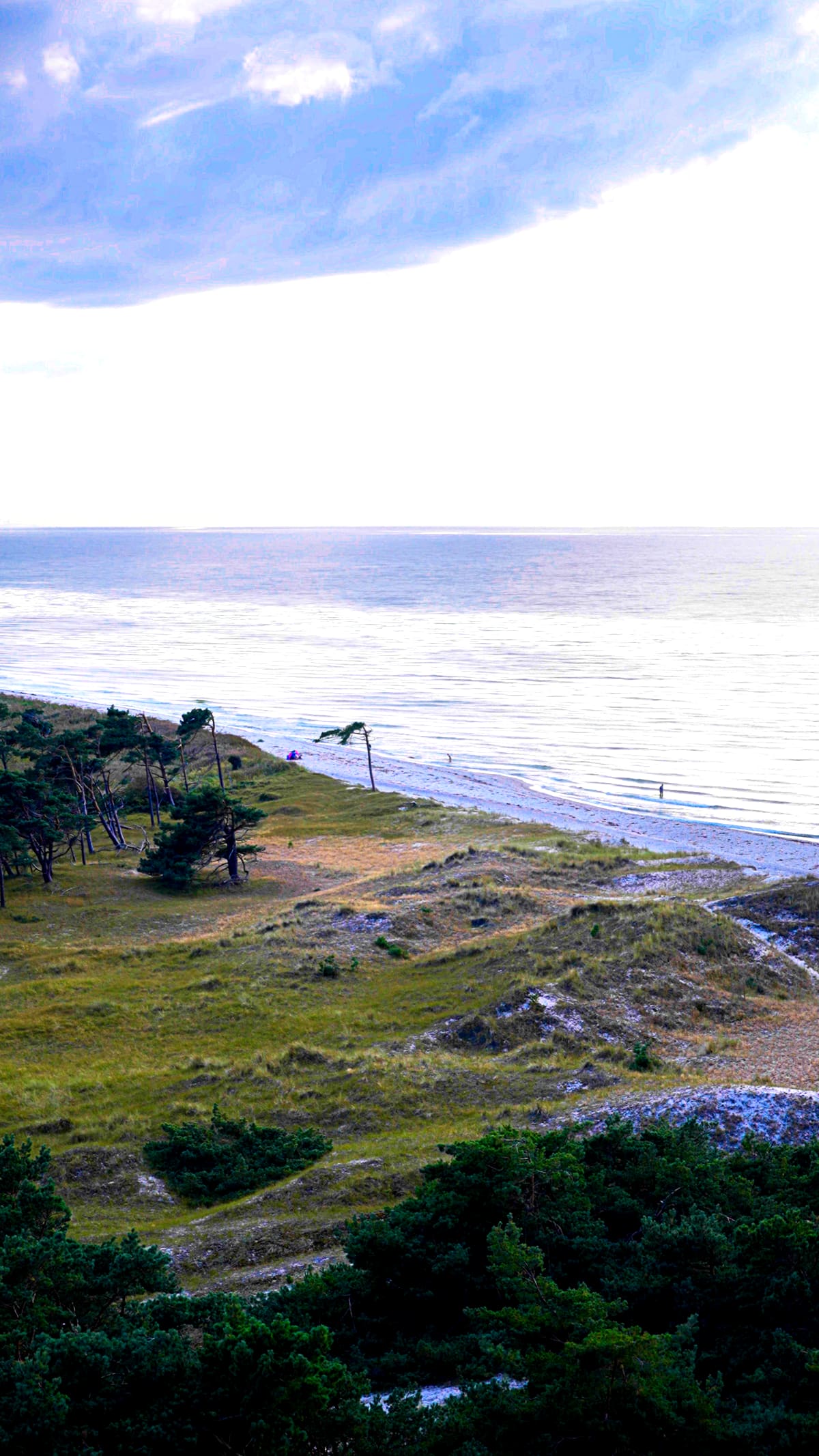Blick von der Düne über den Weststrand und die Ostsee im Abendlicht, vereinzelte Spaziergänger am Wasser
